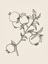Load image into Gallery viewer, Botanical Sketch III
