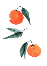 Load image into Gallery viewer, Citrus II
