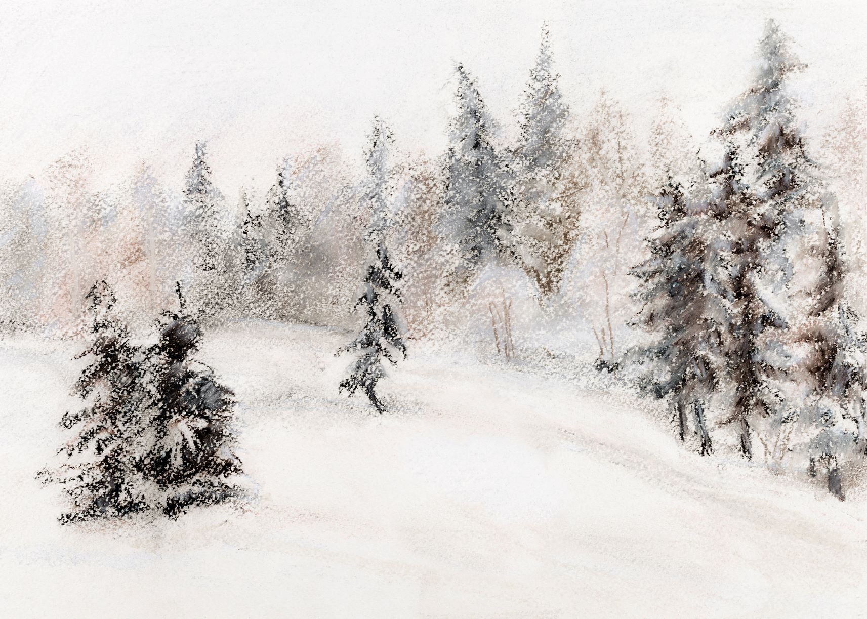 Frosted Forest – Collection Prints