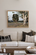 Load image into Gallery viewer, Sunlit Birch
