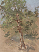 Load image into Gallery viewer, Summer Pine

