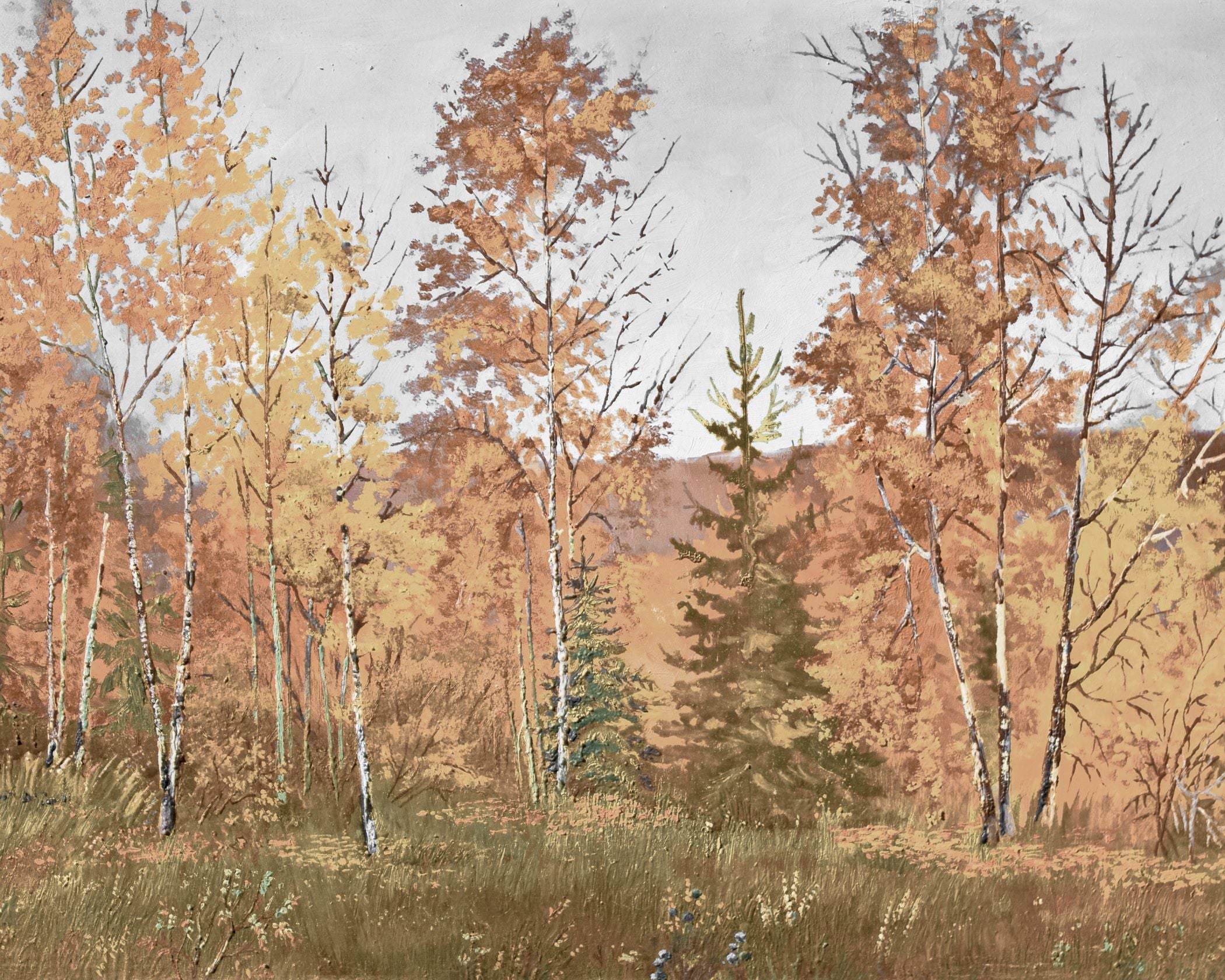 Autumn Forest