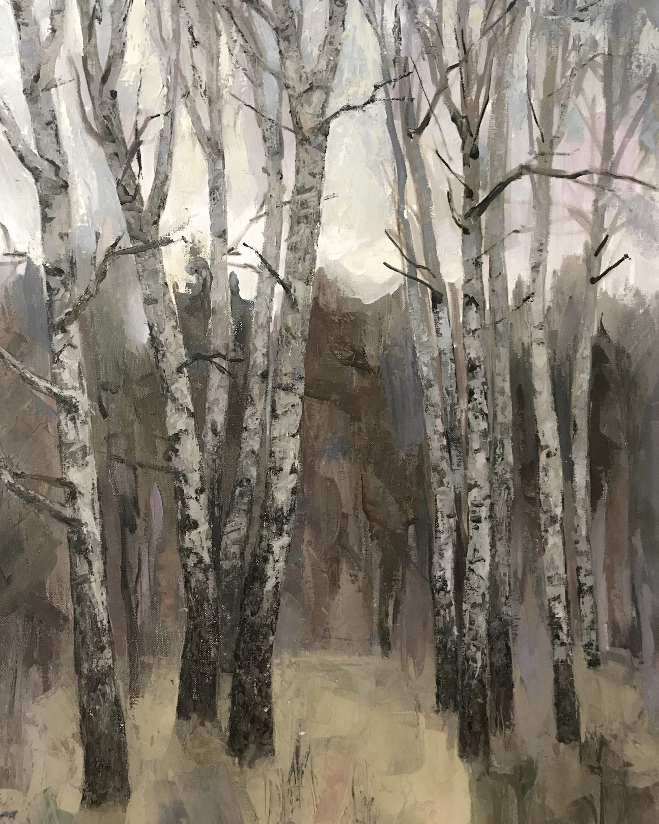 Birch Woods