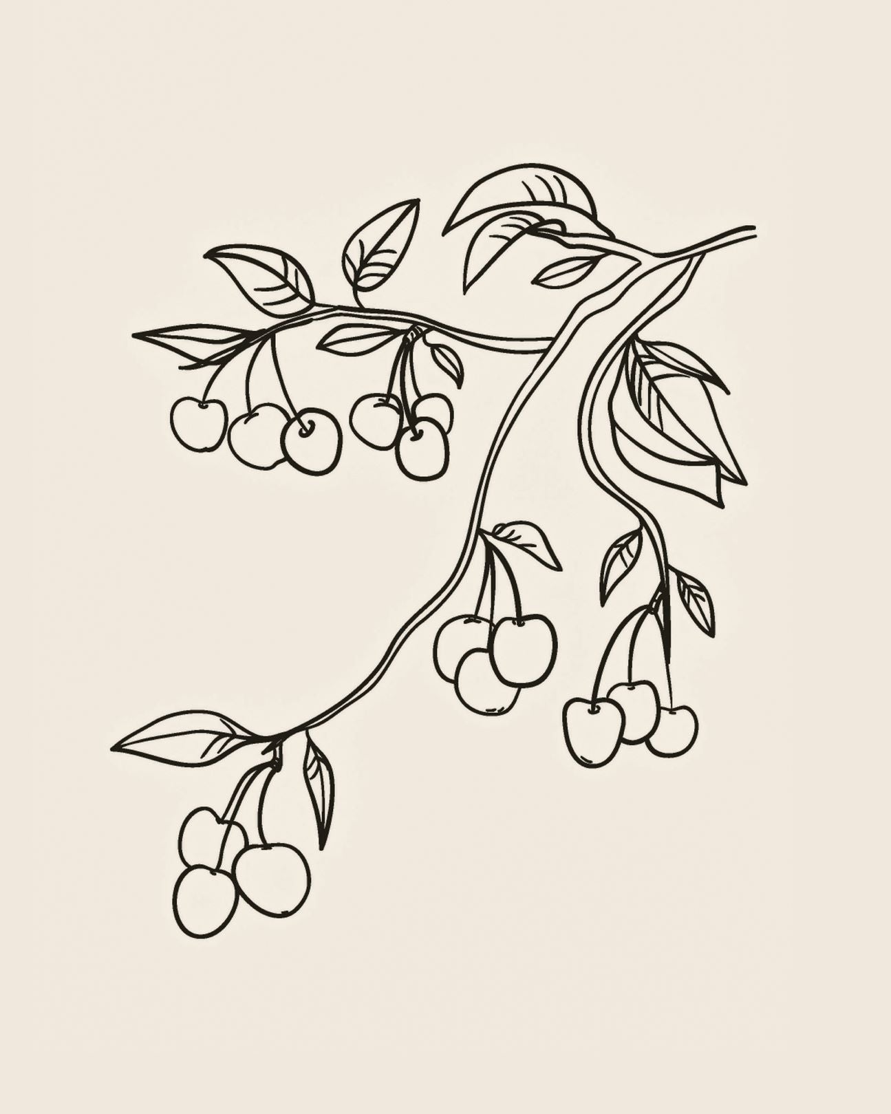 Botanical Sketch I