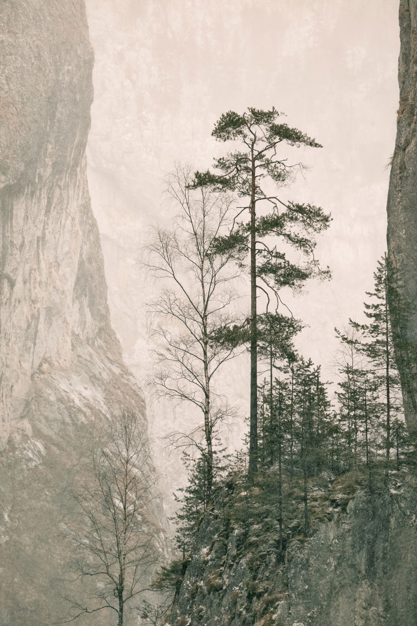 Cliffside Stillness