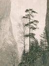 Cliffside Stillness