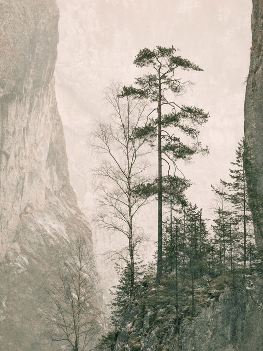 Cliffside Stillness