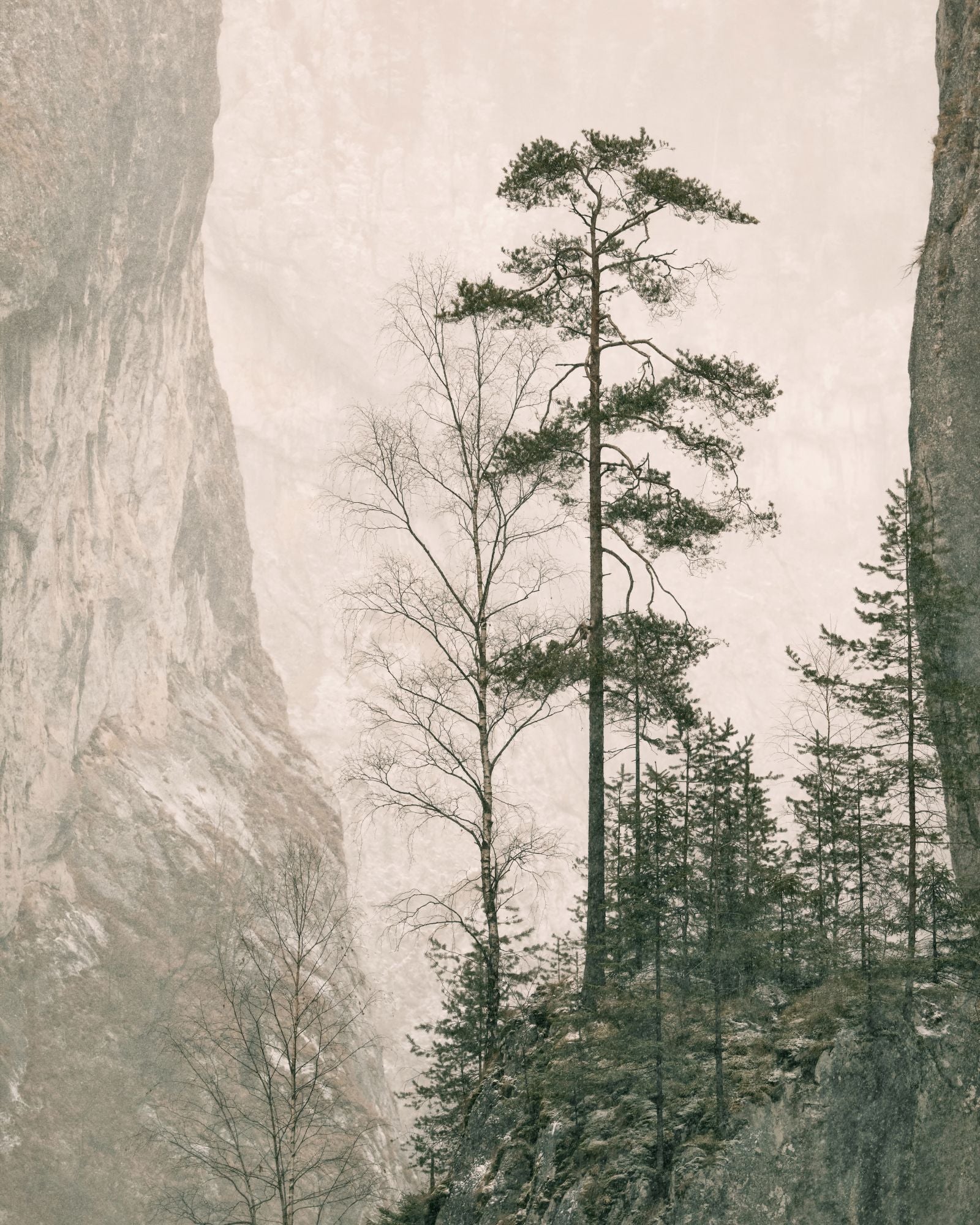 Cliffside Stillness