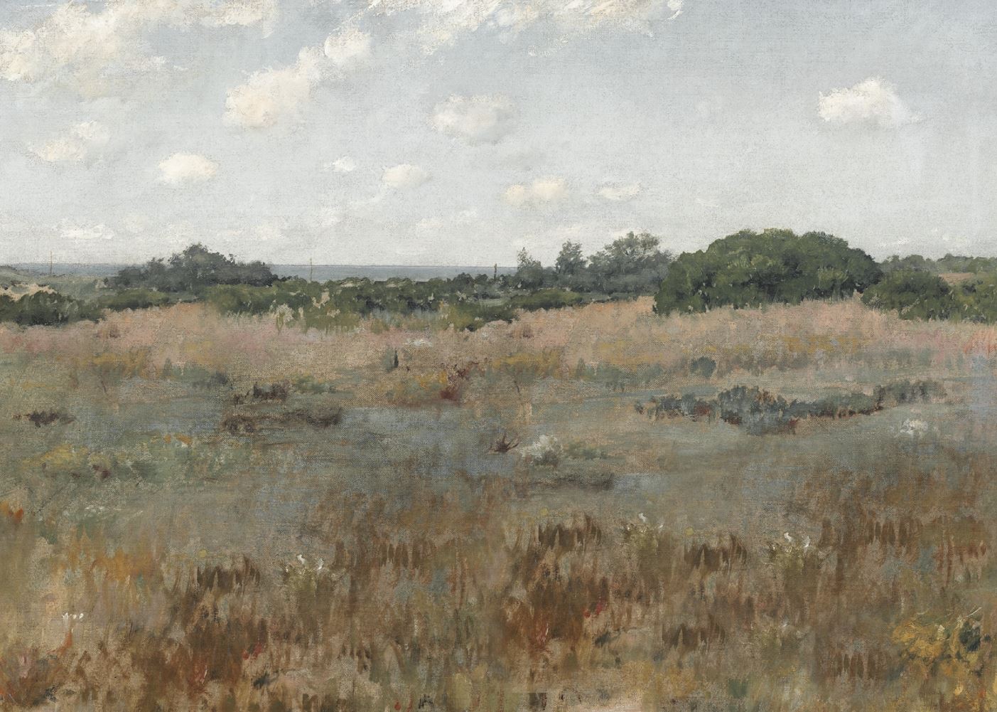 Coastal Prairie