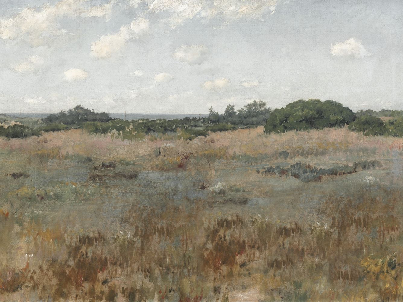 Coastal Prairie