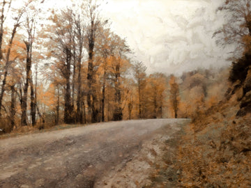 Colors of Autumn