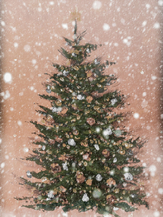 Evergreen Glow