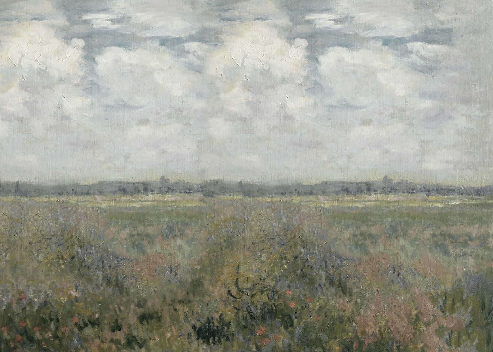 Field of Flowers