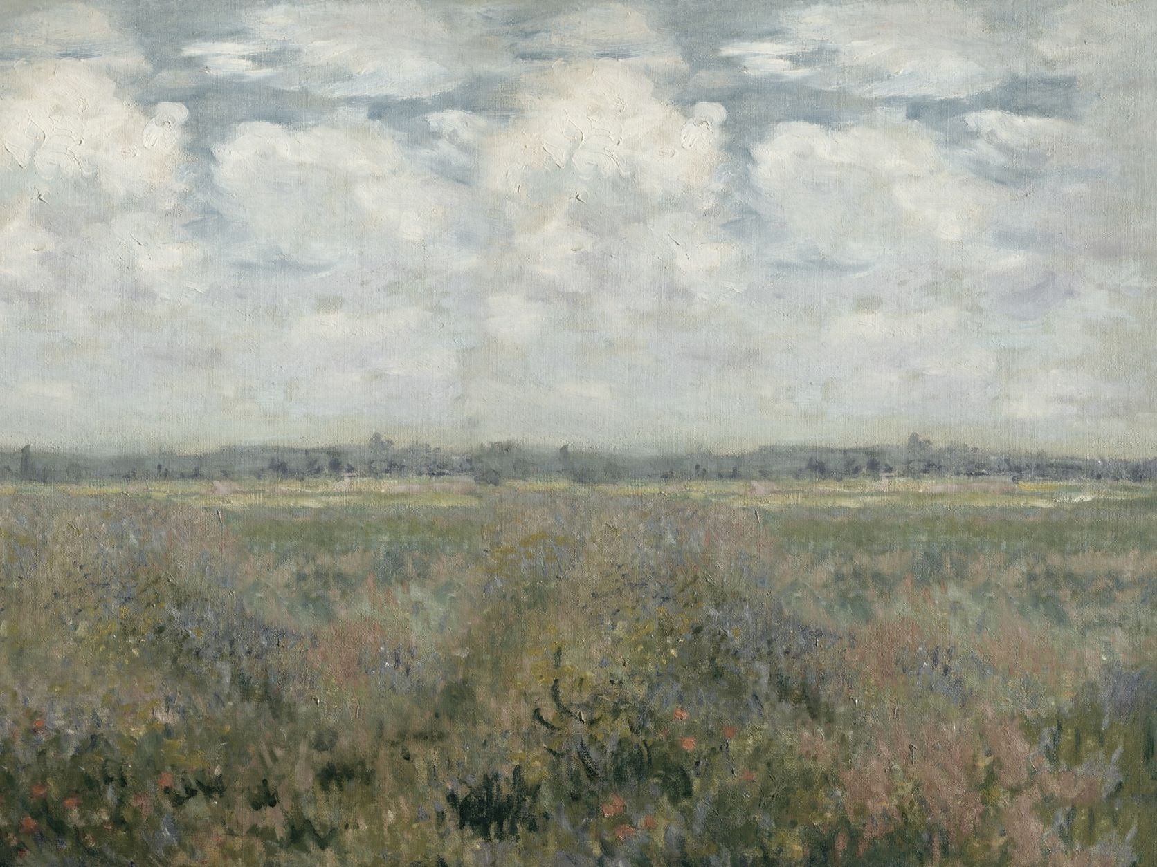 Field of Flowers