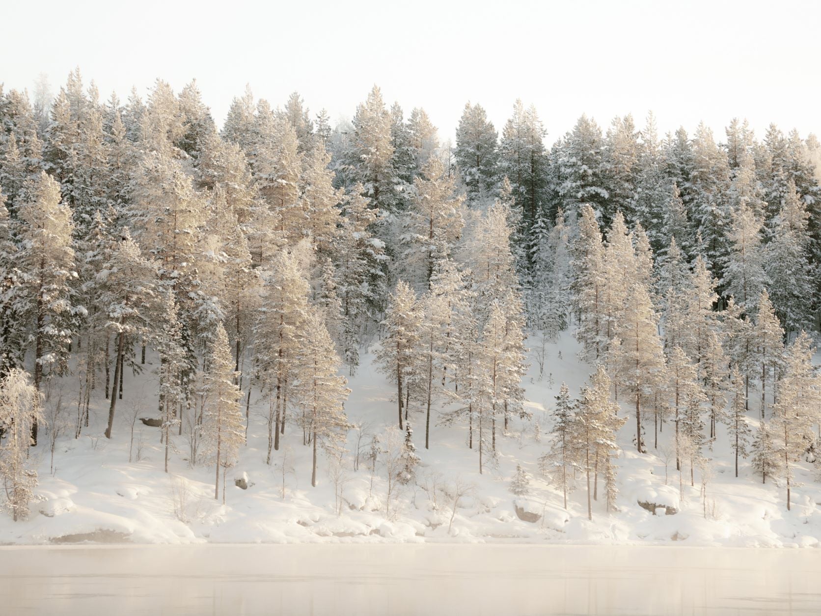 Frosted Hillside