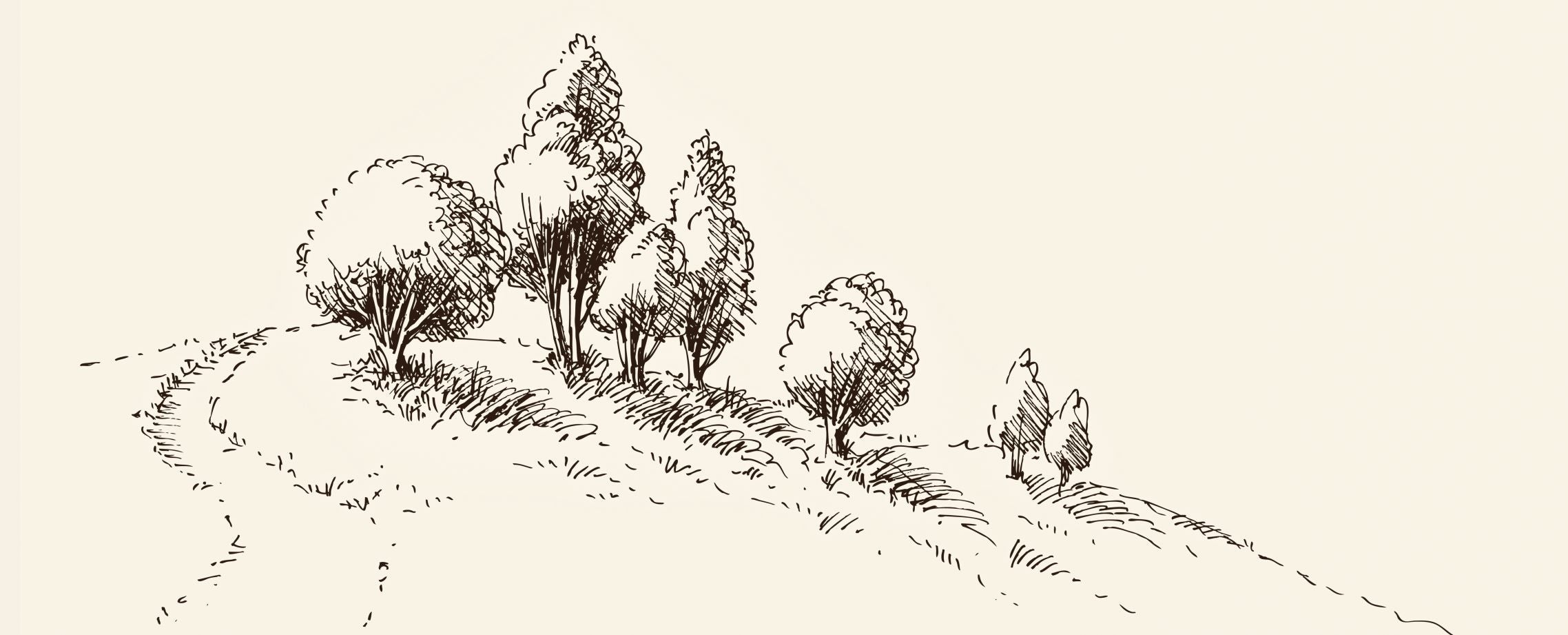 Hilltop Trees