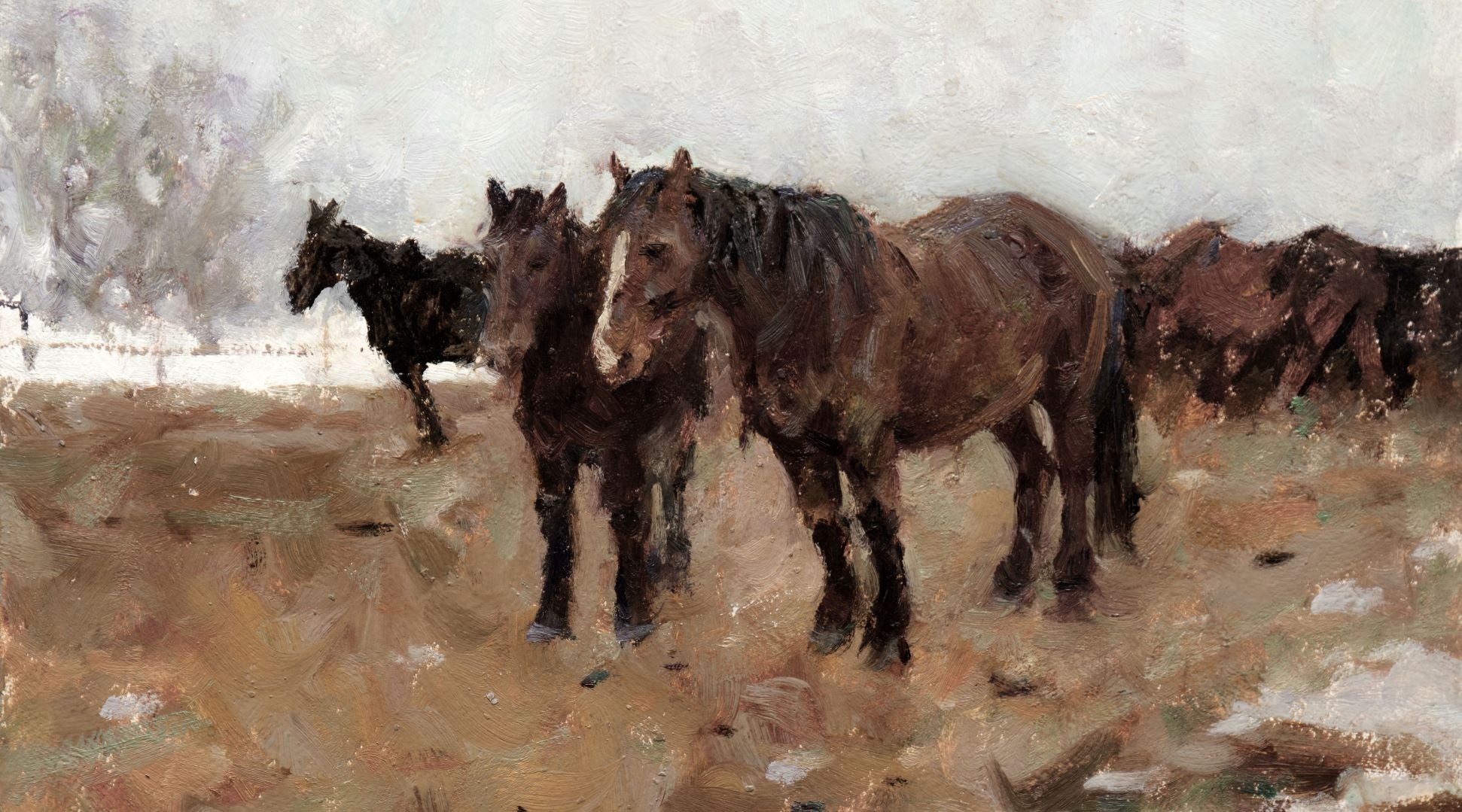 Horses