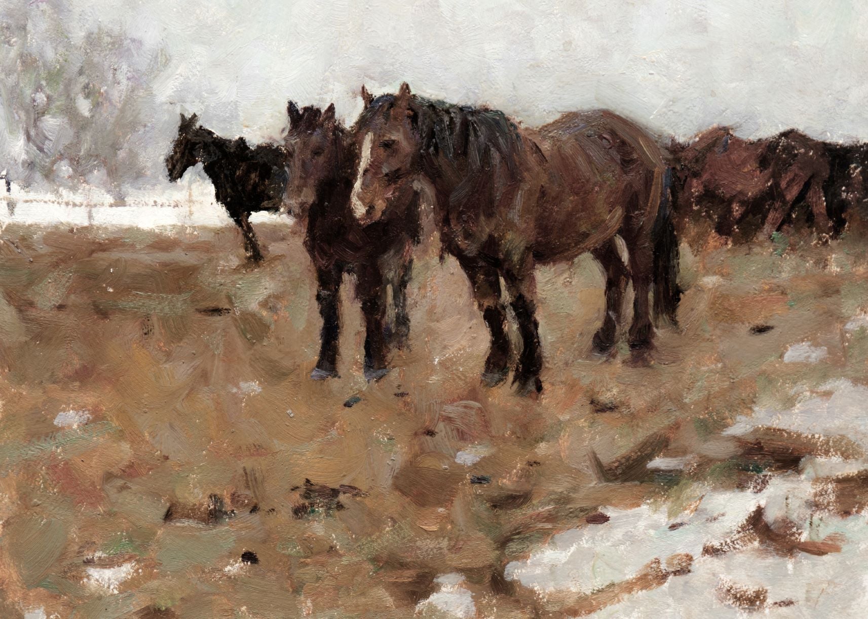 Horses