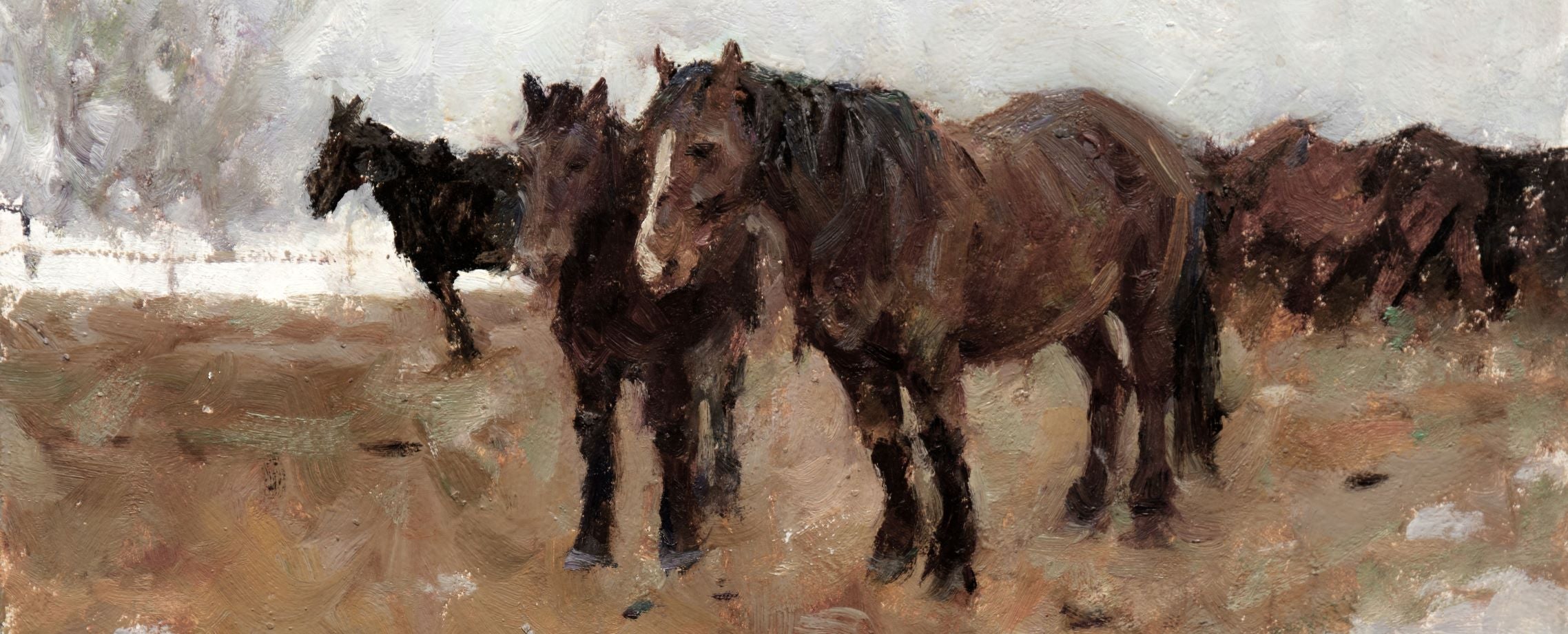 Horses