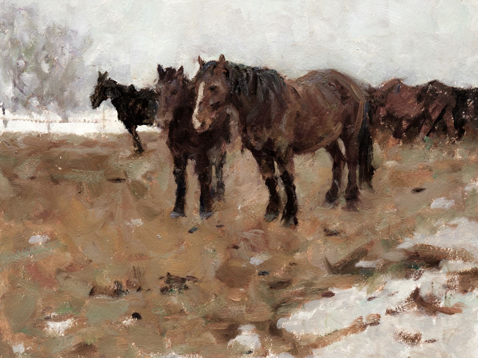 Horses