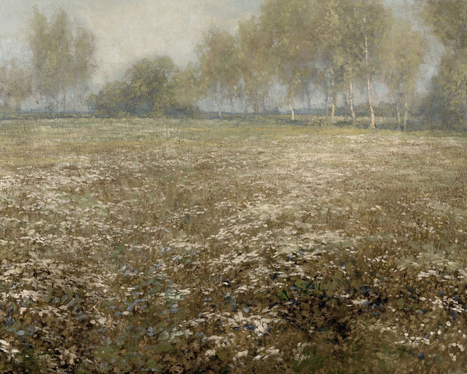 Meadow in Bloom