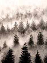 Load image into Gallery viewer, Misty Pines
