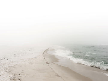 Misty Shore