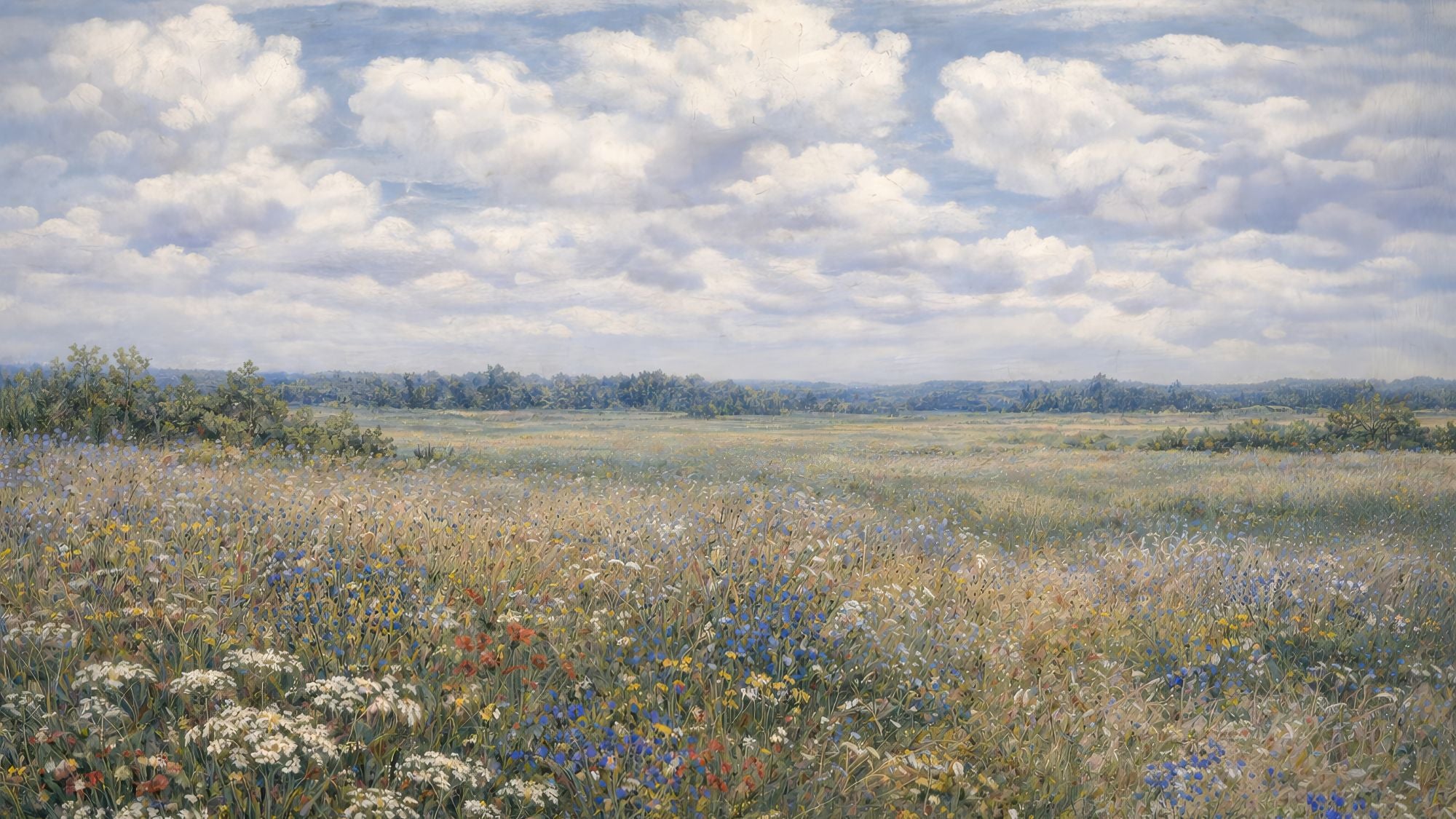 Quiet Meadow