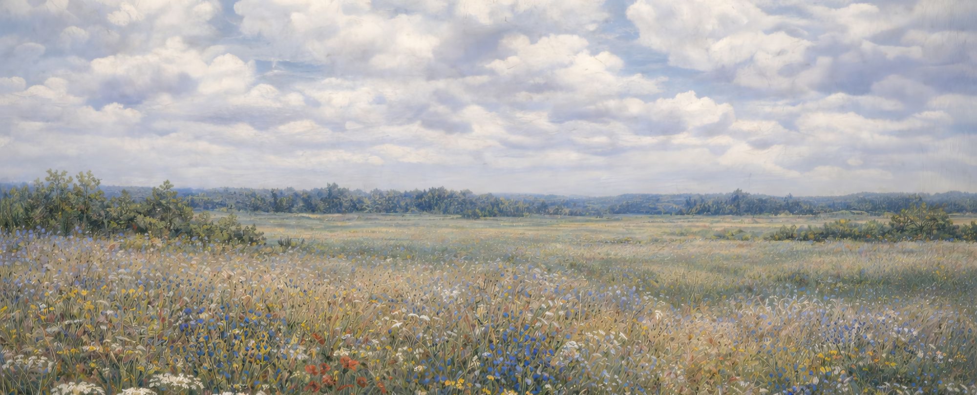 Quiet Meadow