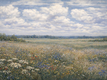 Quiet Meadow