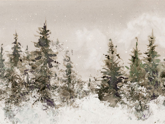 Snow Covered Pines