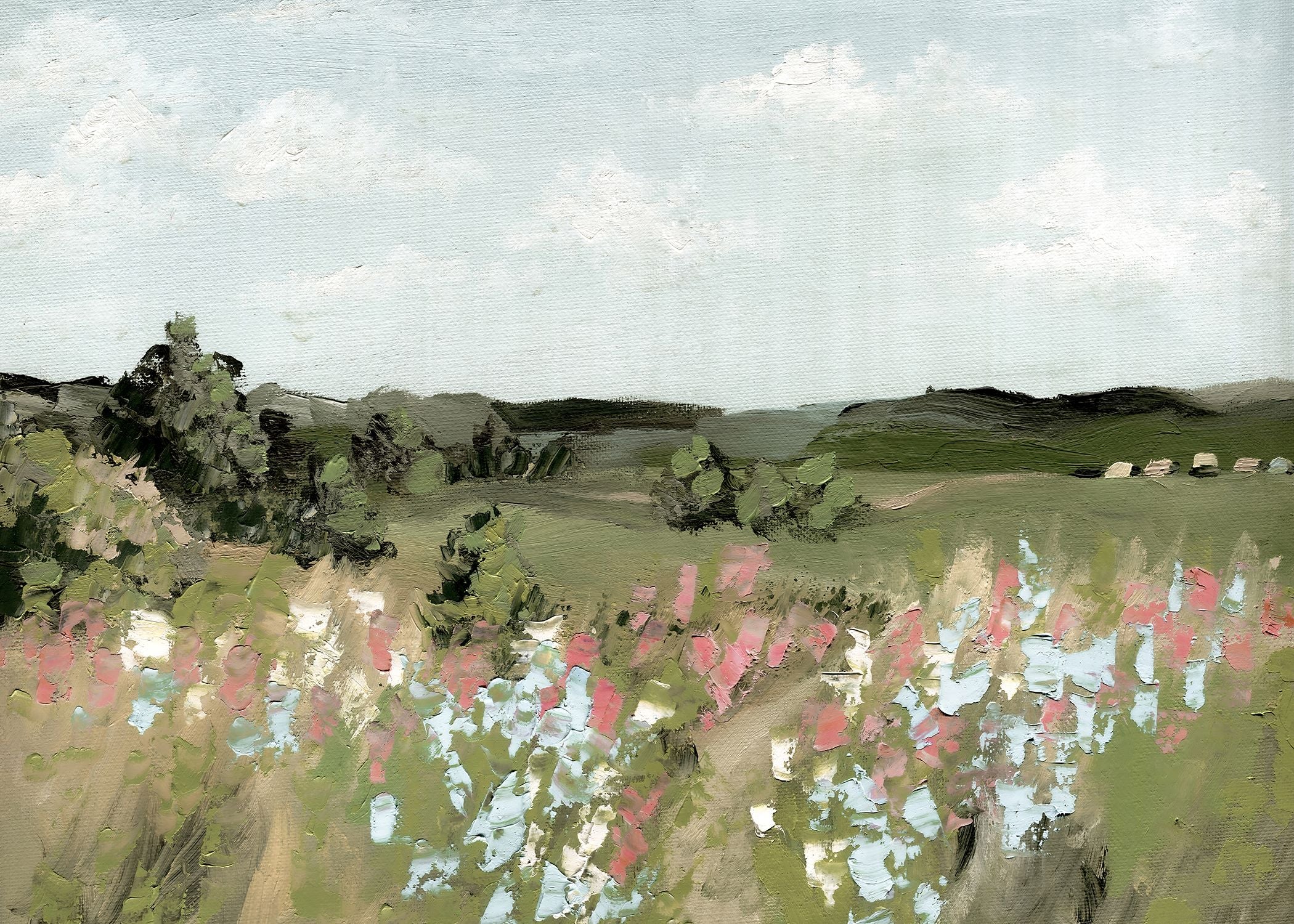 Spring Meadow