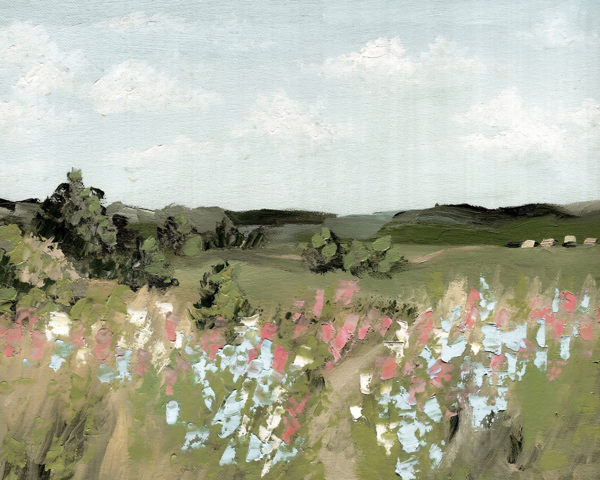 Spring Meadow