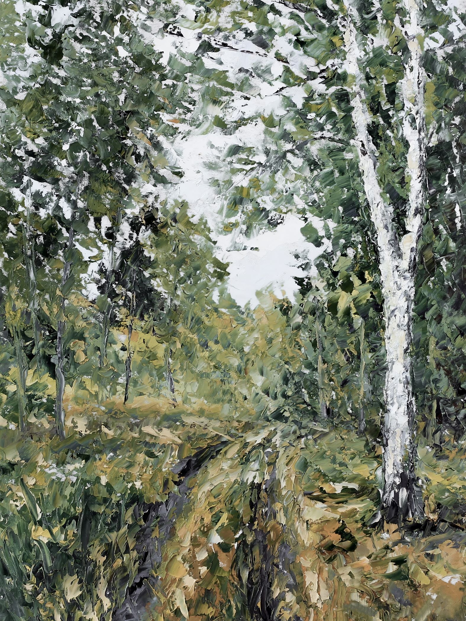 Spring Woods Spring Woods – Collection Prints