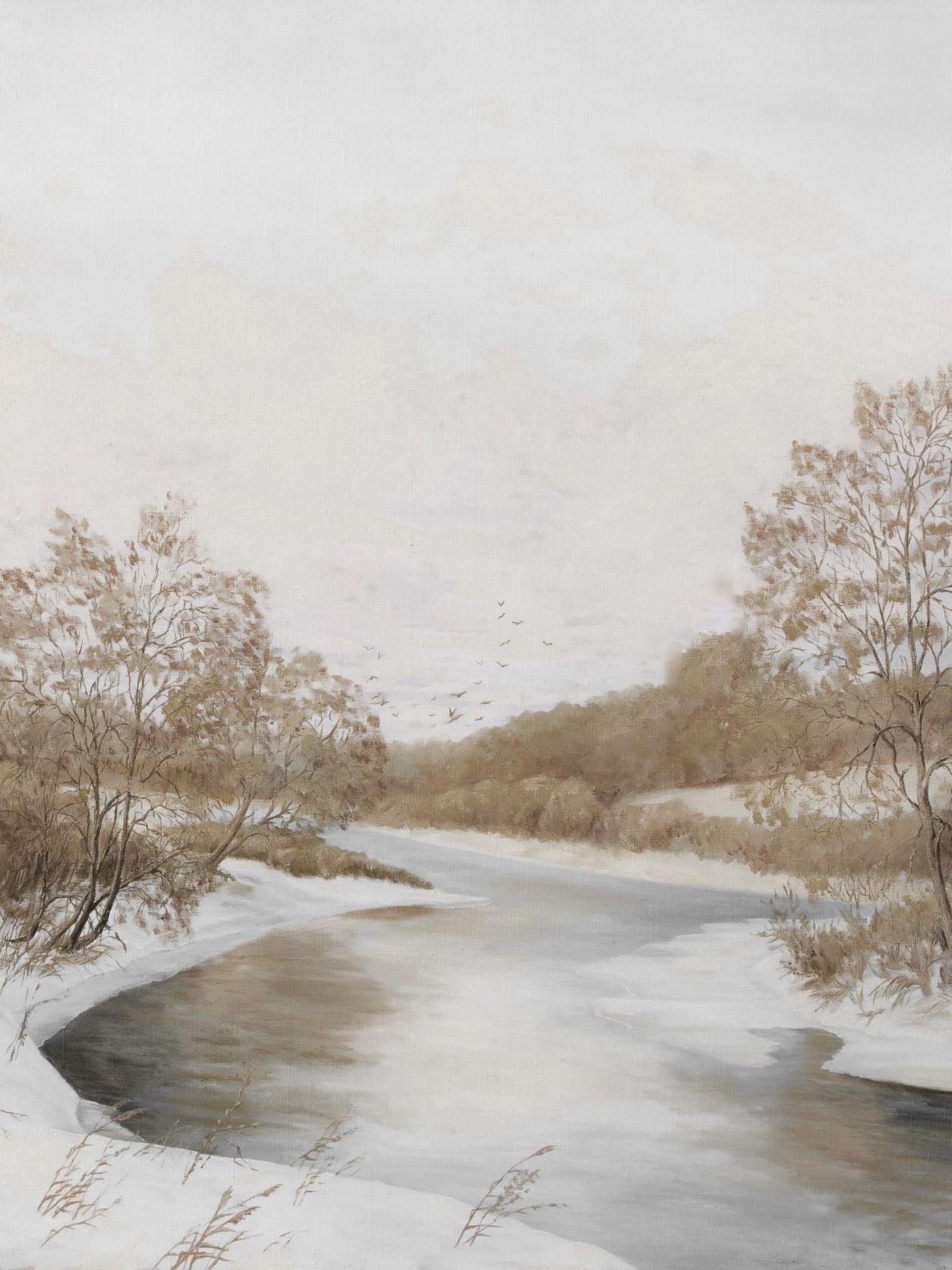 Stream in Winter