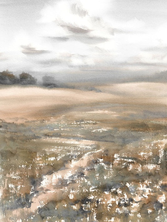 Summer Meadow