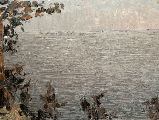 Tree and Tide