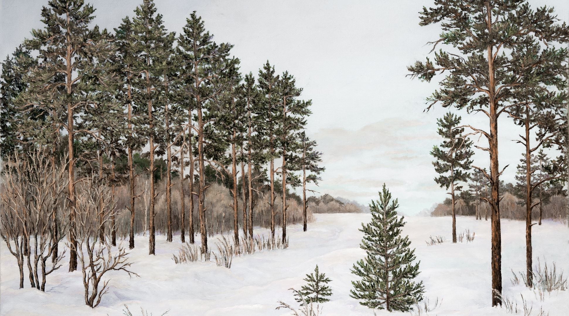 Pinterest Winter Tree Trees in Winter – Collection Prints