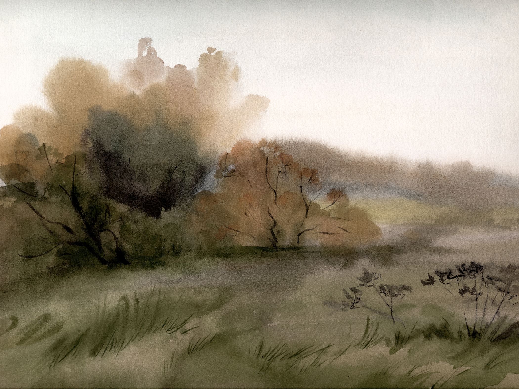 Valley View – Collection Prints