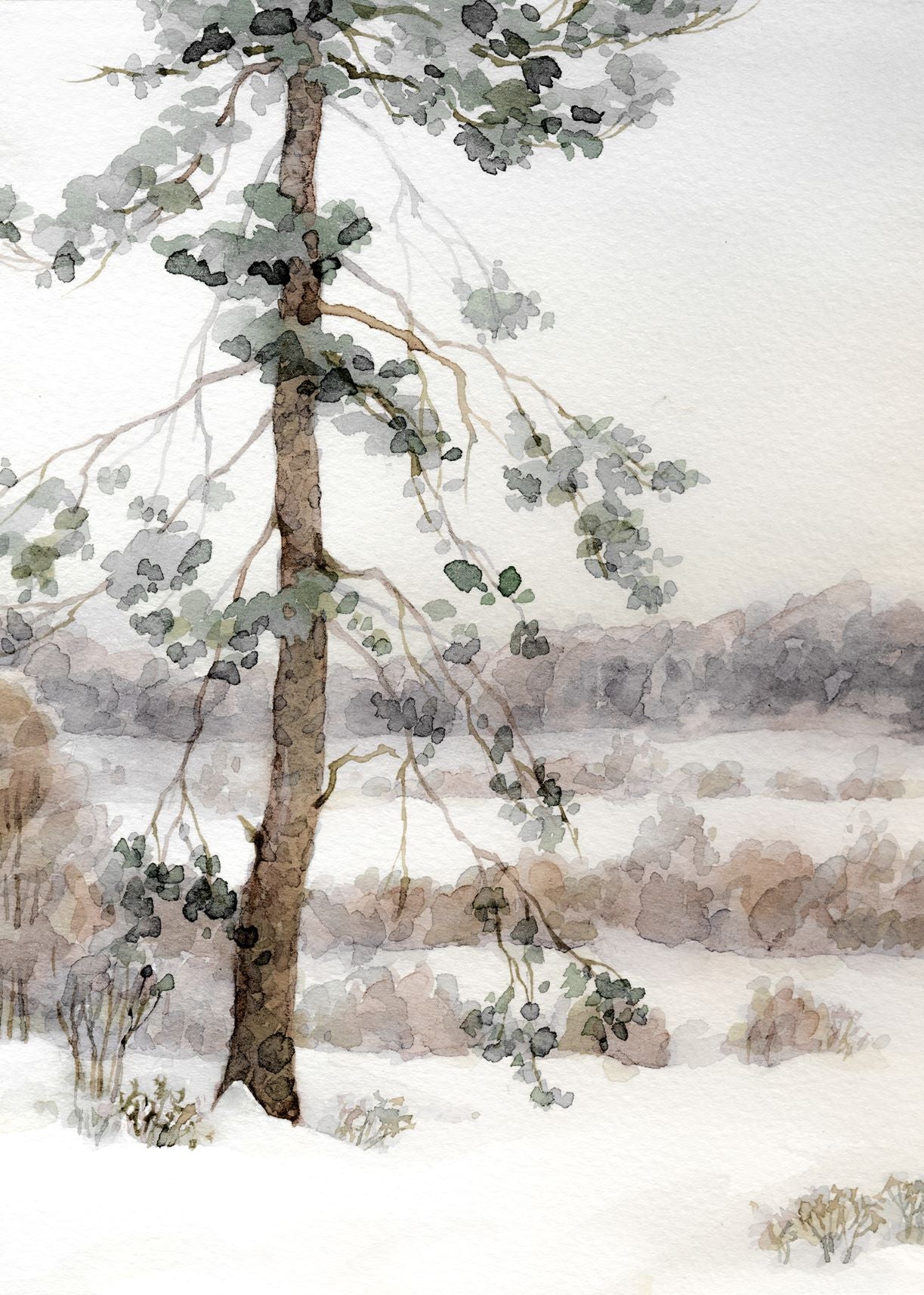 Watercolor Winter