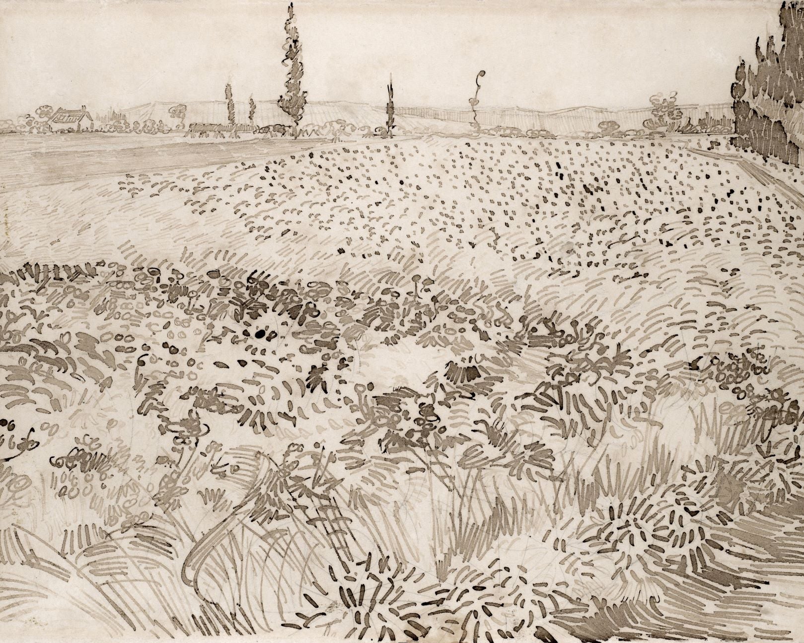 Wheatfield Sketch