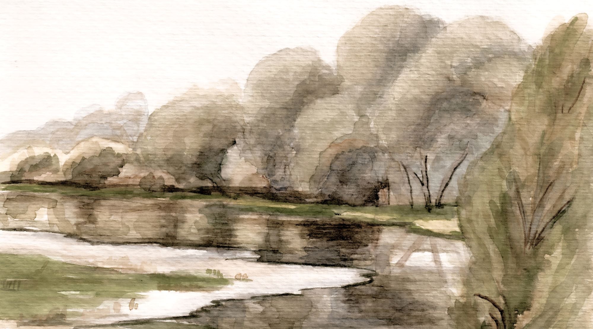 Willows at the River