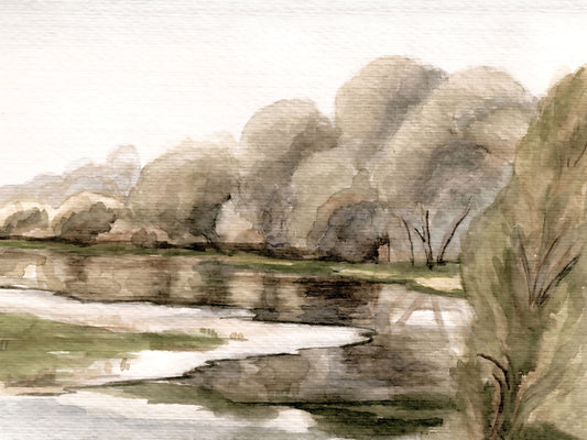 Willows at the River