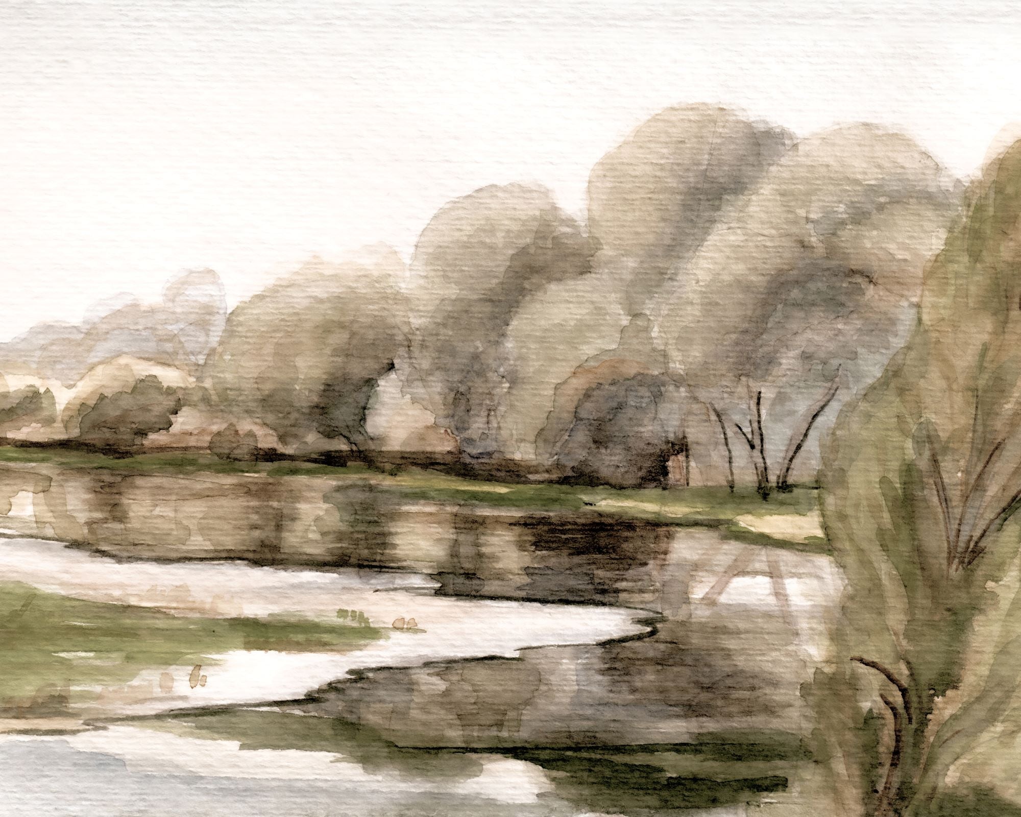 Willows at the River