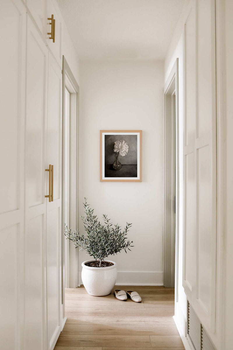 Peony – Collection Prints