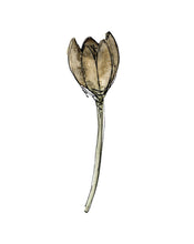 Load image into Gallery viewer, Dried Floral II
