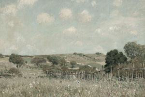 Meadow in Spring