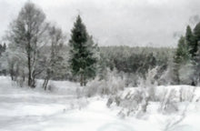 Load image into Gallery viewer, Winter in the Woods
