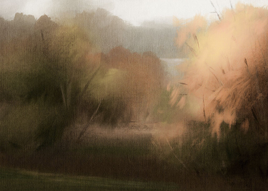 Autumn Abstract II