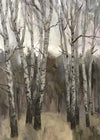 Birch Woods